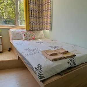 Amu Dreamhouse 阿木旅舍 Hostal